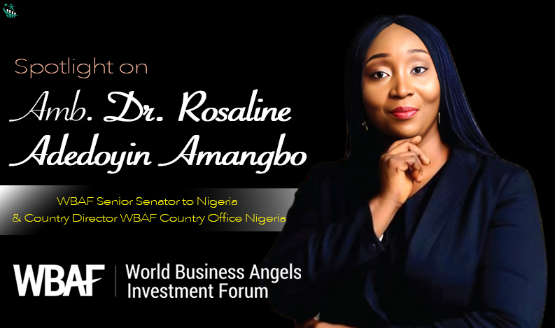 World Business Angel Investment Forum Nigeria