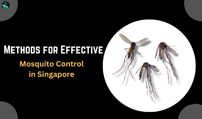 effective mosquito control