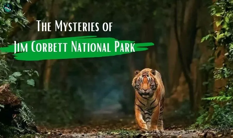 jim corbett national park